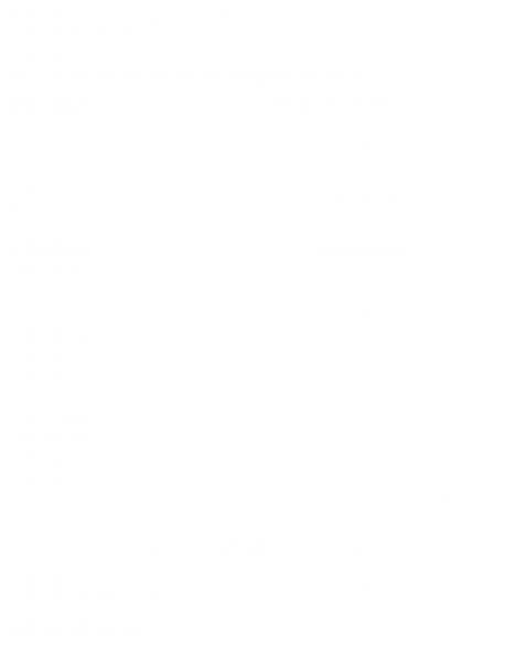 Logo von BrandRocks