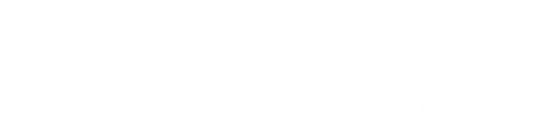 Logo von Palmer