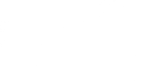 Logo von FLYBYTES