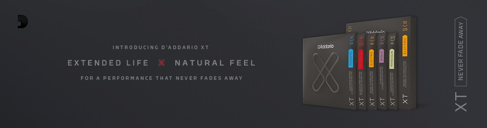 Banner von D'Addario
